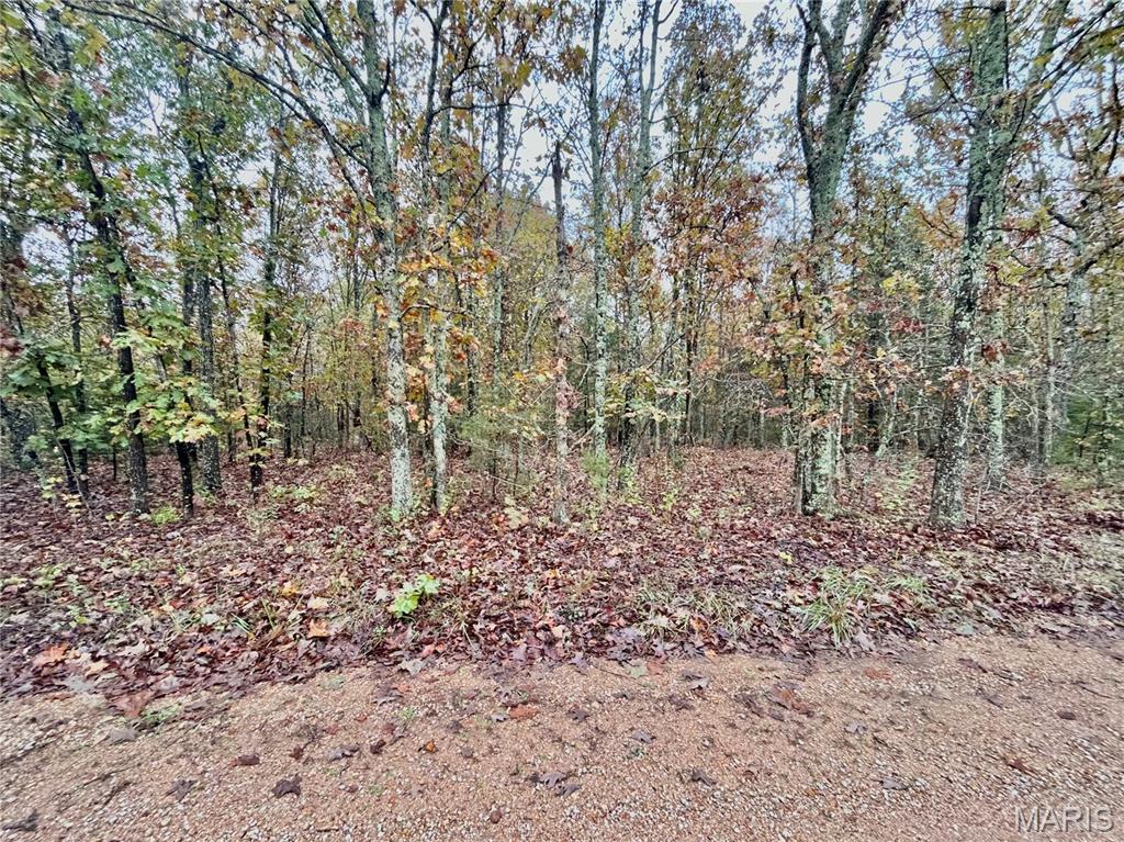 Photo 2 - Land for sale – TBD Tract 4  County Road 4215   Salem, MO