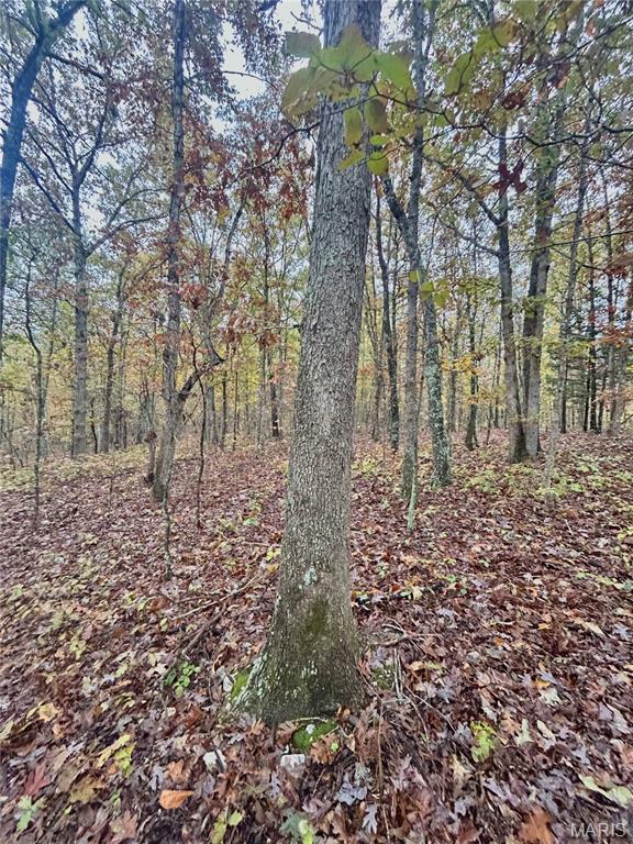 Photo 12 - Land for sale – TBD Tract 4  County Road 4215   Salem, MO