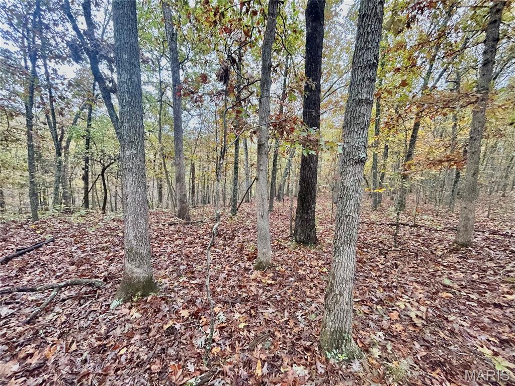 Photo 14 - Land for sale – TBD Tract 4  County Road 4215   Salem, MO