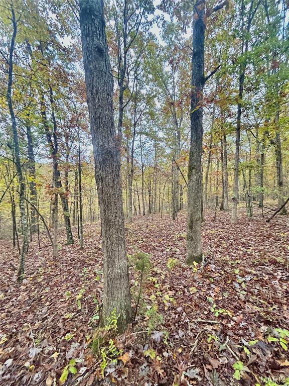 Photo 11 - Land for sale – TBD Tract 4  County Road 4215   Salem, MO