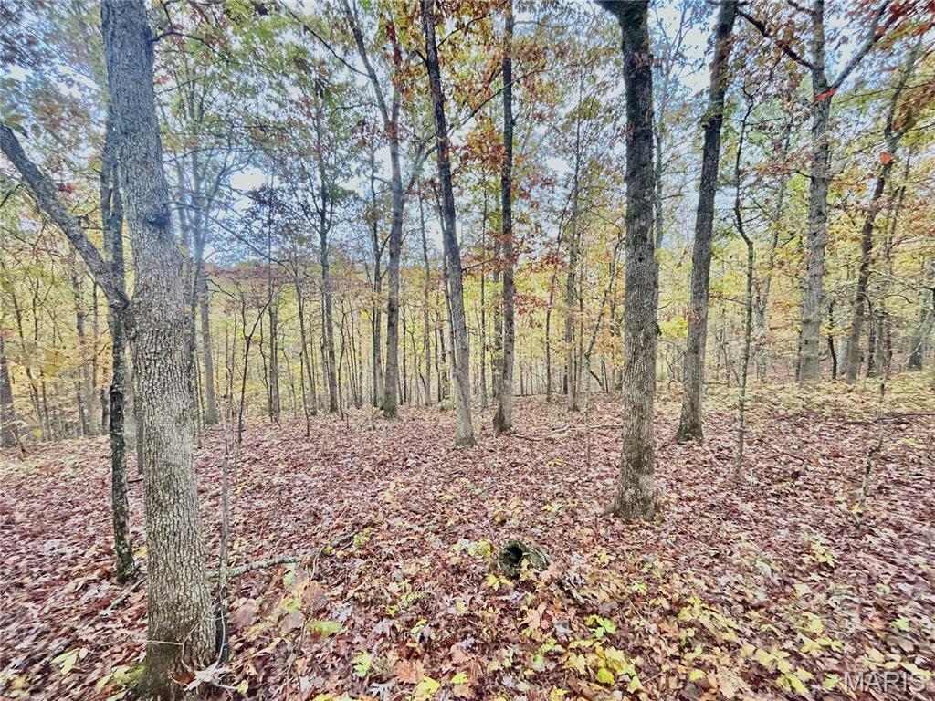 Photo 13 - Land for sale – TBD Tract 4  County Road 4215   Salem, MO