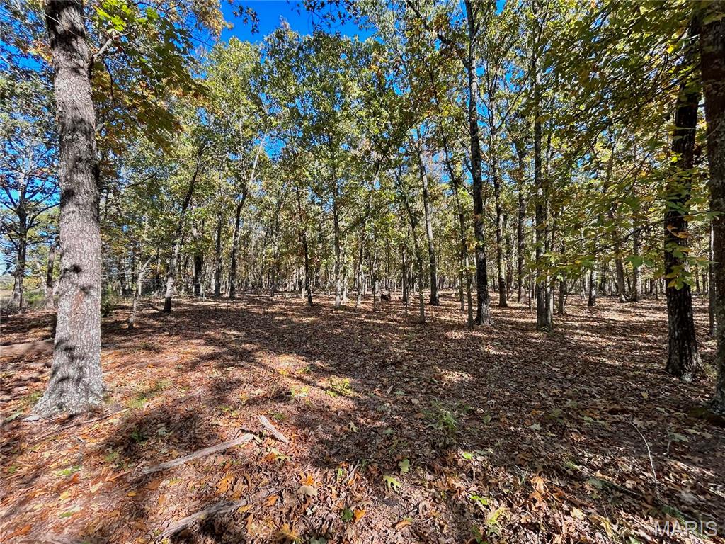 Photo 12 - Land for sale – TBD Tract 7  County Road 4210   Salem, MO