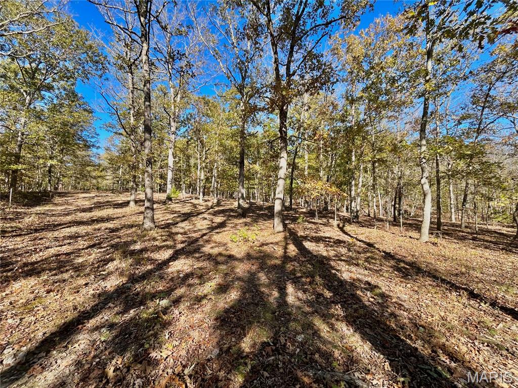 Photo 4 - Land for sale – TBD Tract 7  County Road 4210   Salem, MO