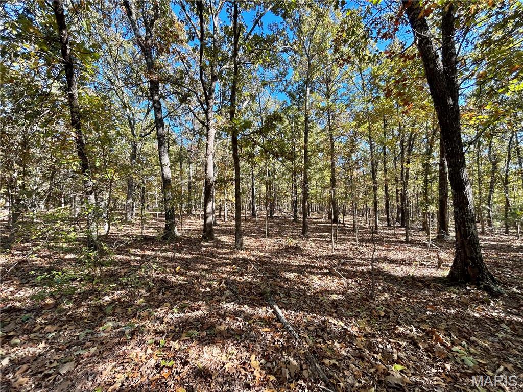 Photo 11 - Land for sale – TBD Tract 7  County Road 4210   Salem, MO