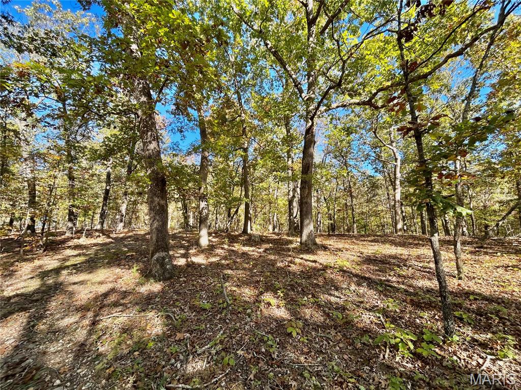 Photo 8 - Land for sale – TBD Tract 7  County Road 4210   Salem, MO
