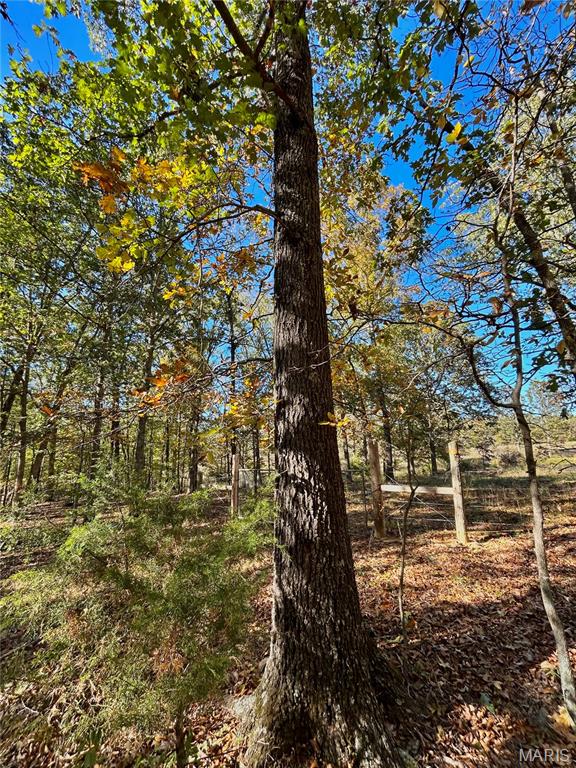 Photo 13 - Land for sale – TBD Tract 7  County Road 4210   Salem, MO