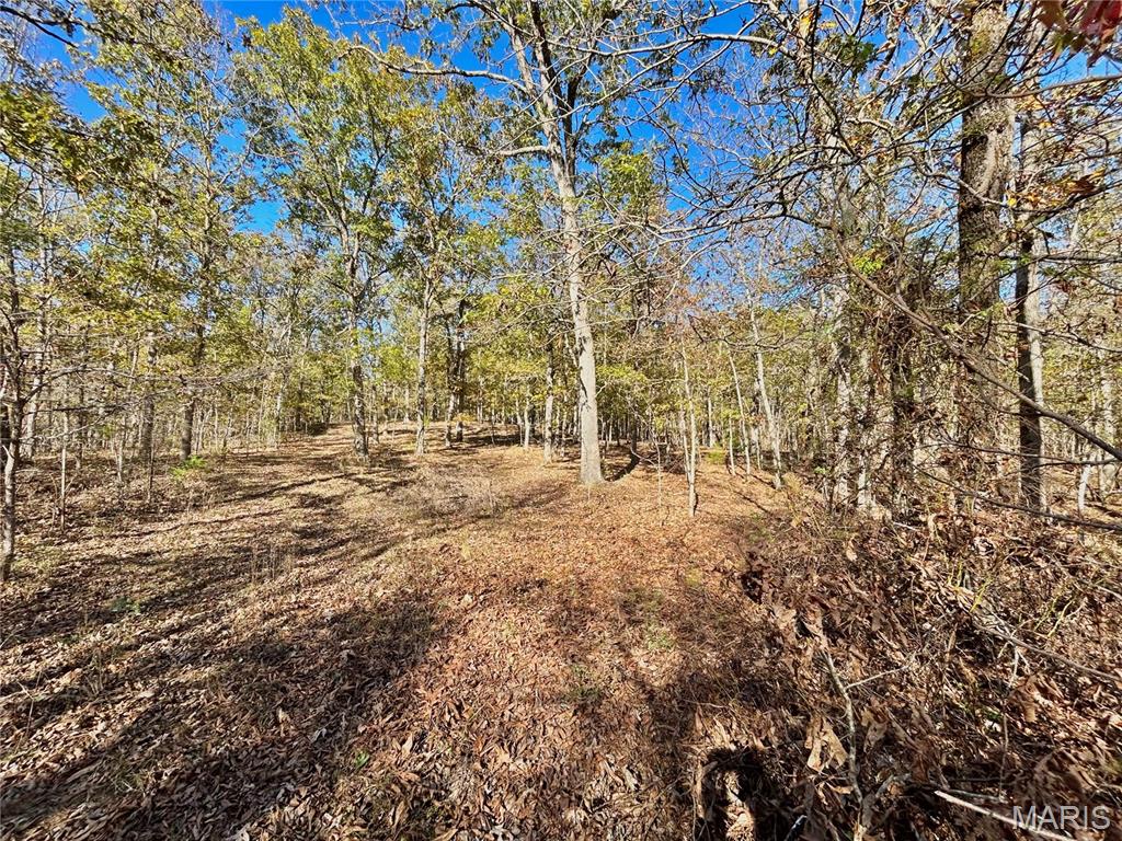 Photo 3 - Land for sale – TBD Tract 7  County Road 4210   Salem, MO