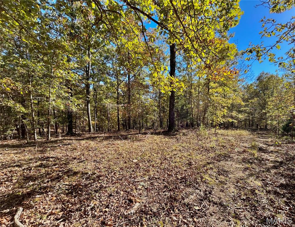 Photo 6 - Land for sale – TBD Tract 7  County Road 4210   Salem, MO