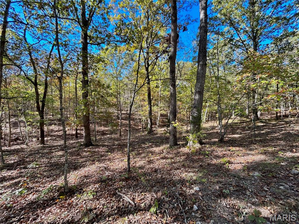Photo 7 - Land for sale – TBD Tract 7  County Road 4210   Salem, MO