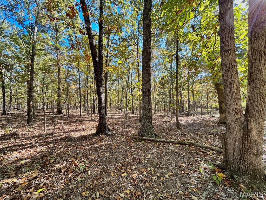 Photo 10 - Land for sale – TBD Tract 7  County Road 4210   Salem, MO
