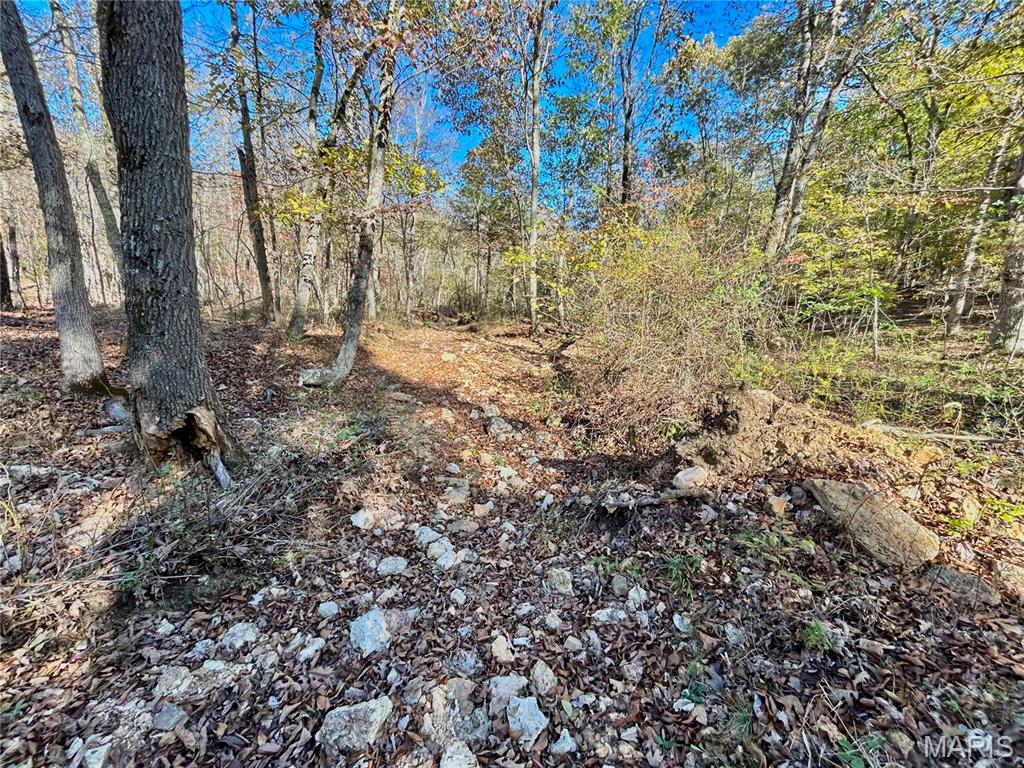 Photo 2 - Land for sale – TBD Tract 7  County Road 4210   Salem, MO