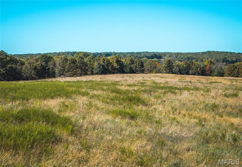Photo 25 - Land for sale – 45694  Highway 72   Salem, MO