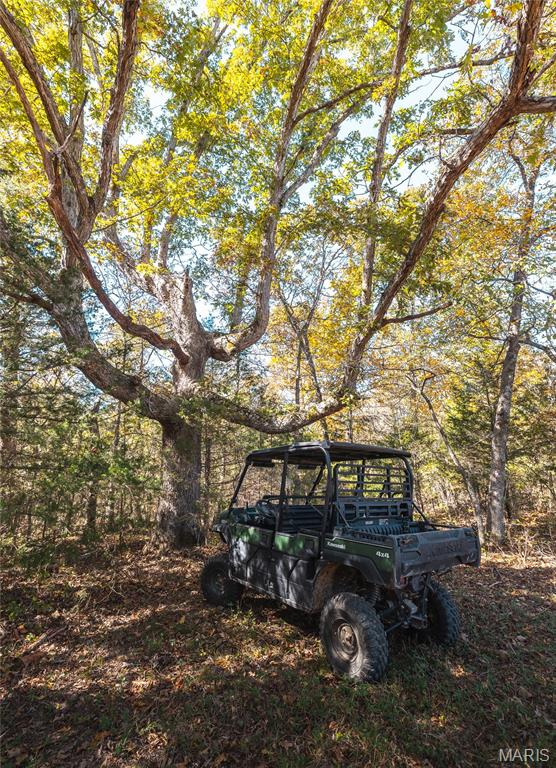 Photo 29 - Land for sale – 45694  Highway 72   Salem, MO