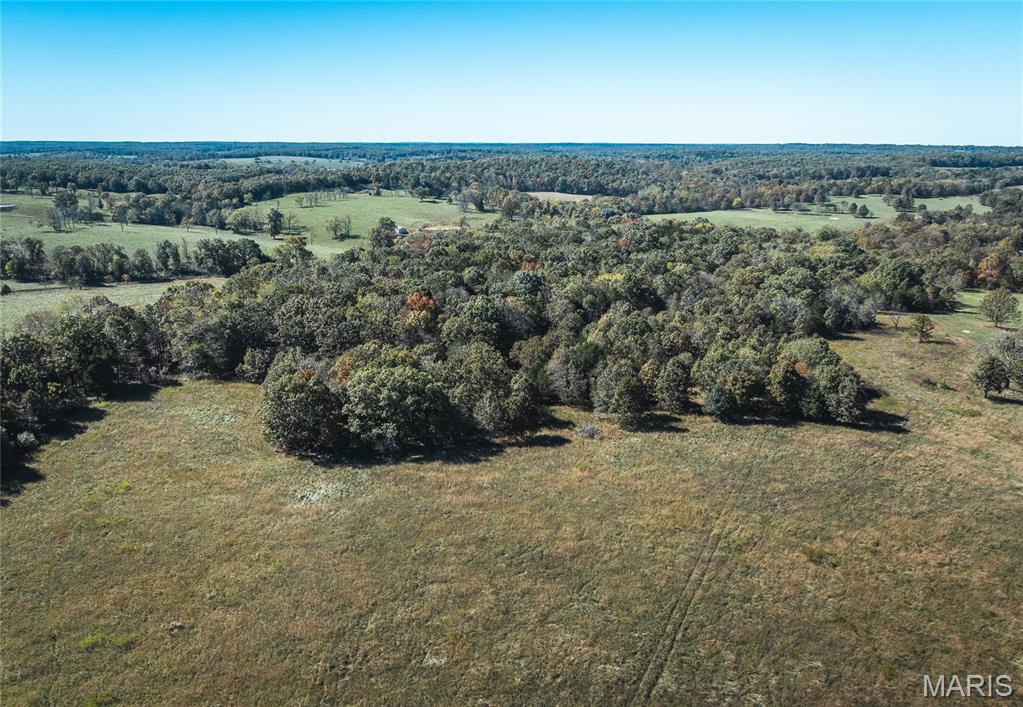 Photo 9 - Land for sale – 45694  Highway 72   Salem, MO
