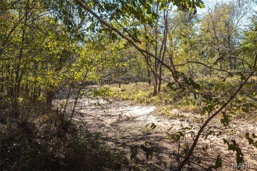Photo 7 - Land for sale – 45694  Highway 72   Salem, MO