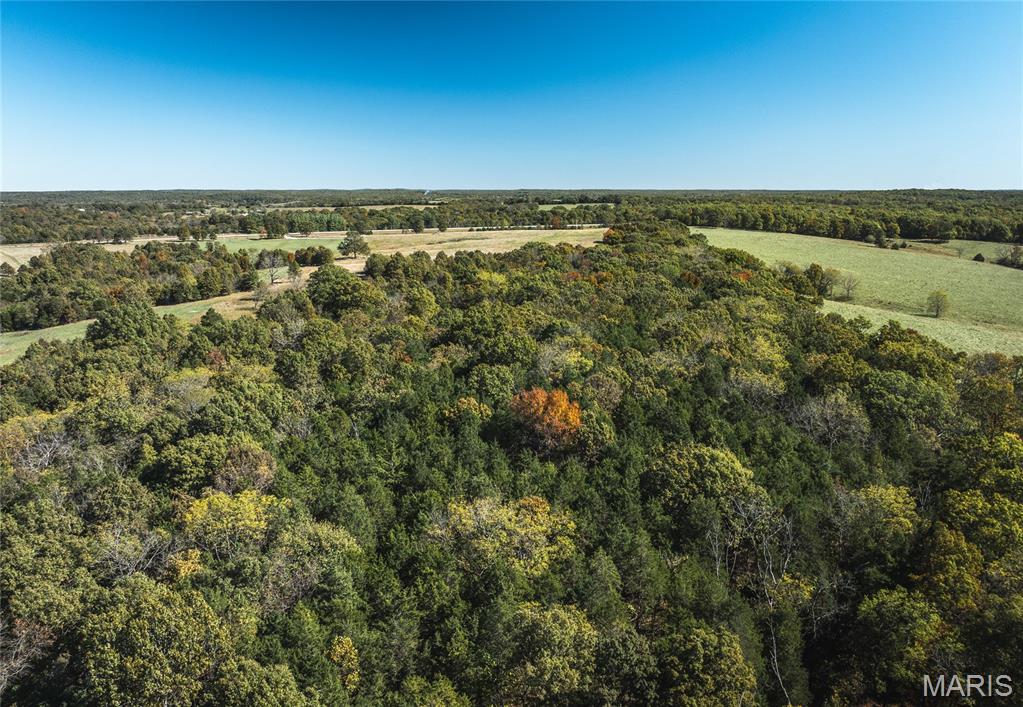 Photo 19 - Land for sale – 45694  Highway 72   Salem, MO