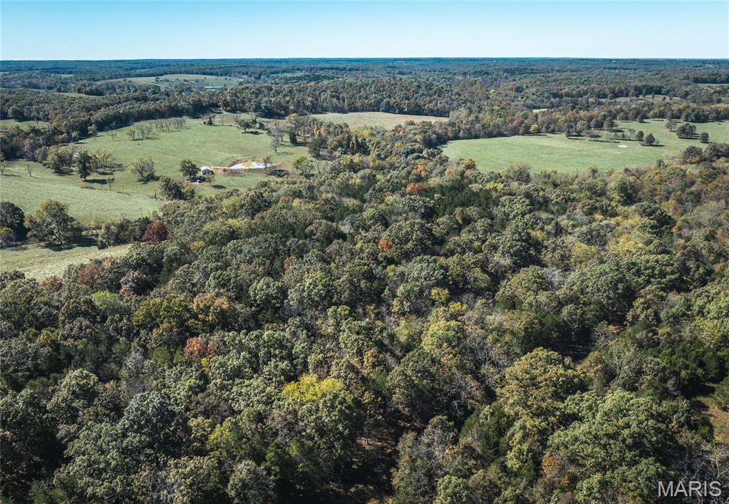 Photo 10 - Land for sale – 45694  Highway 72   Salem, MO