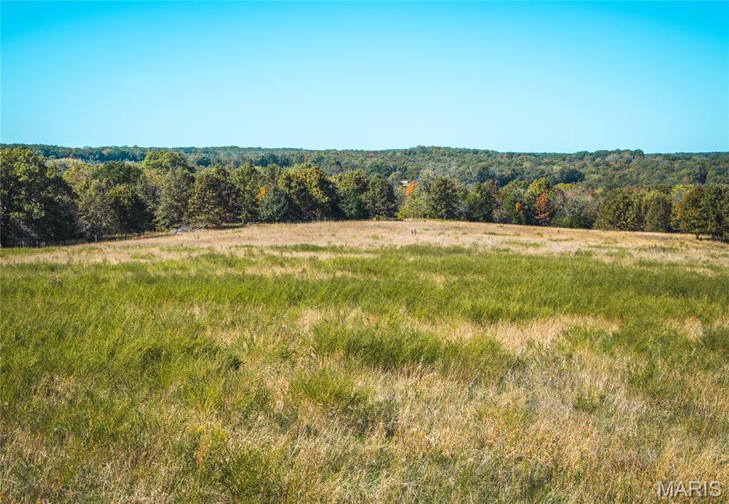 Photo 11 - Land for sale – 45694  Highway 72   Salem, MO