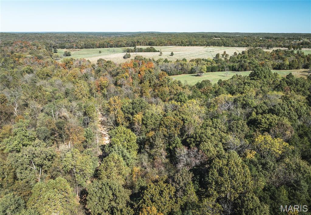 Photo 20 - Land for sale – 45694  Highway 72   Salem, MO