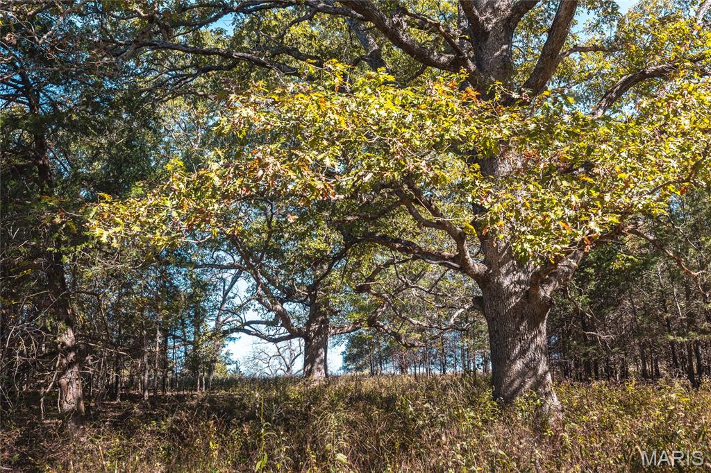 Photo 28 - Land for sale – 45694  Highway 72   Salem, MO