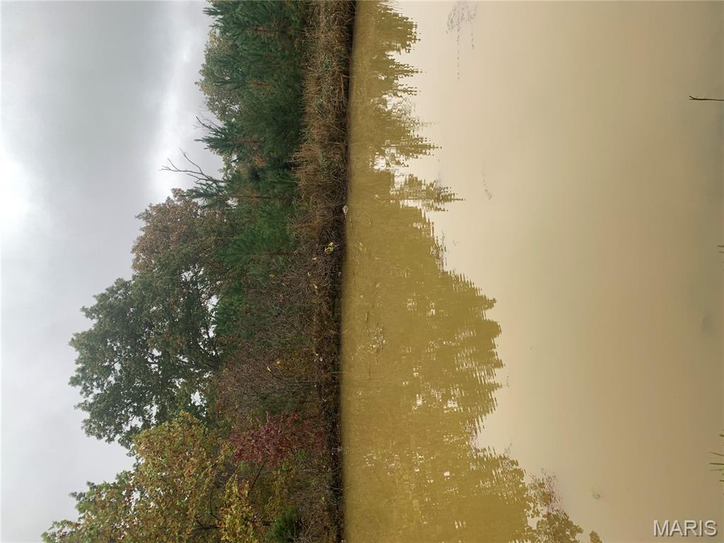 Photo 9 - Land for sale – 1076  Highway WW   Salem, MO