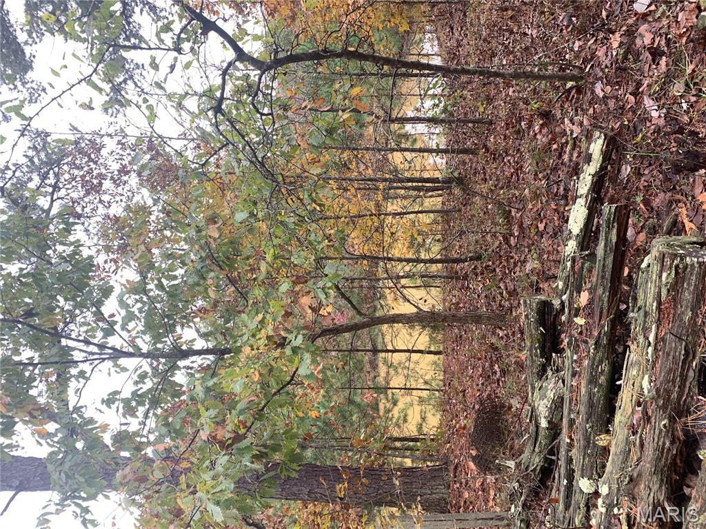 Photo 12 - Land for sale – 1076  Highway WW   Salem, MO