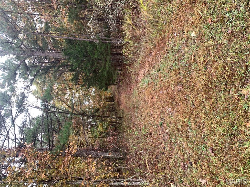 Photo 5 - Land for sale – 1076  Highway WW   Salem, MO