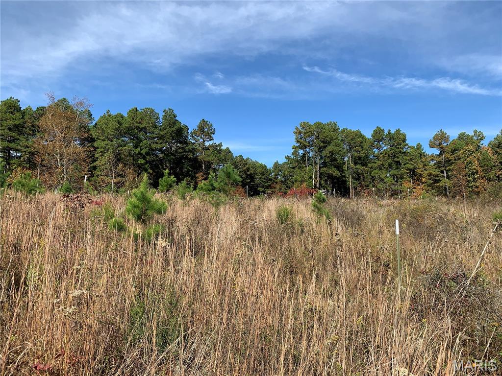 Photo 3 - Land for sale – 1076  Highway WW   Salem, MO