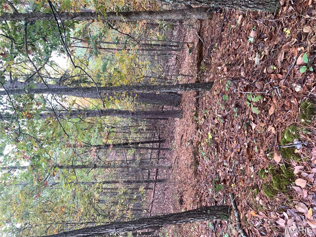 Photo 15 - Land for sale – 1076  Highway WW   Salem, MO