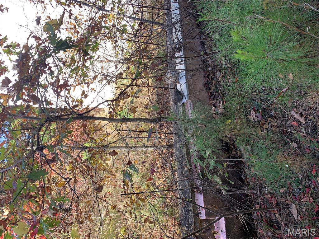 Photo 4 - Land for sale – 1076  Highway WW   Salem, MO