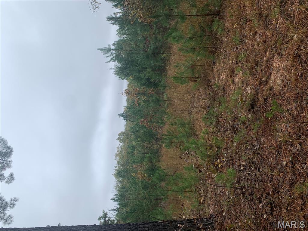 Photo 10 - Land for sale – 1076  Highway WW   Salem, MO