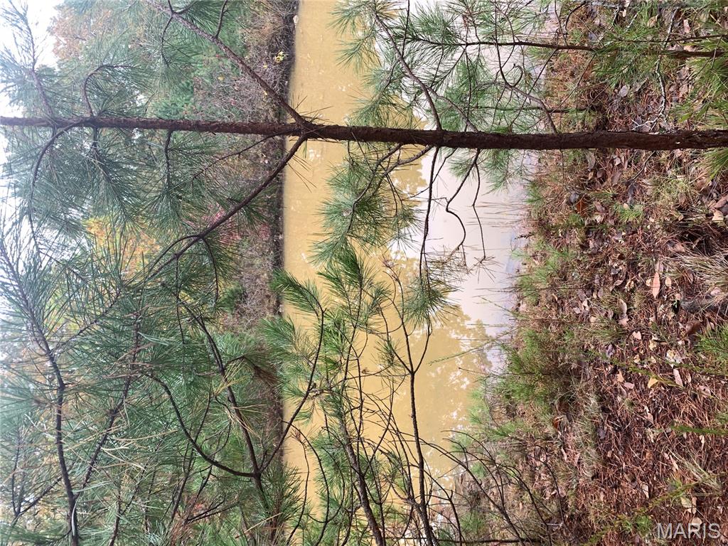 Photo 14 - Land for sale – 1076  Highway WW   Salem, MO