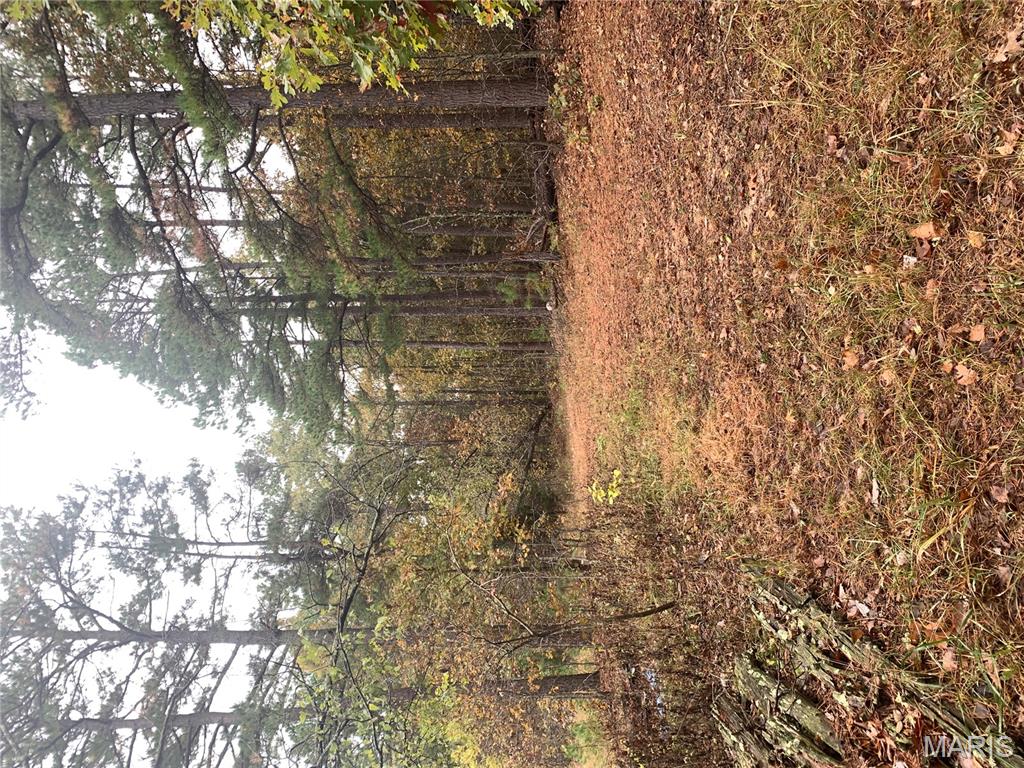 Photo 7 - Land for sale – 1076  Highway WW   Salem, MO