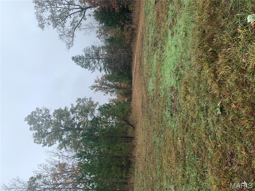 Photo 6 - Land for sale – 1076  Highway WW   Salem, MO