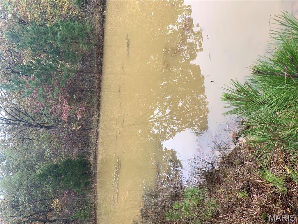 Photo 11 - Land for sale – 1076  Highway WW   Salem, MO