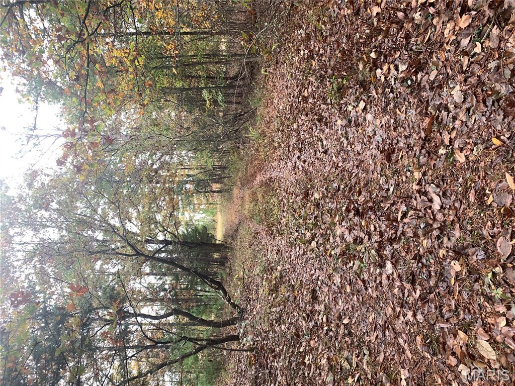 Photo 16 - Land for sale – 1076  Highway WW   Salem, MO