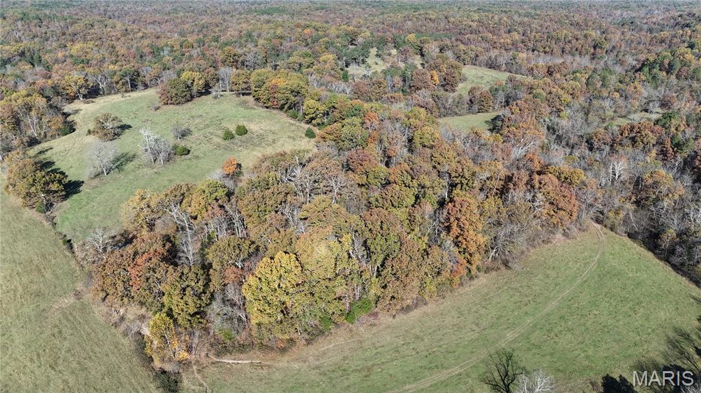 Photo 48 - Farm for sale – 205  County Road 6550   Salem, MO