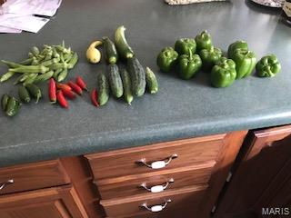 Photo 62 - Farm for sale – 205  County Road 6550   Salem, MO