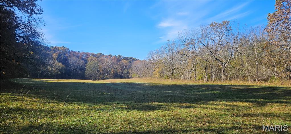 Photo 59 - Farm for sale – 205  County Road 6550   Salem, MO