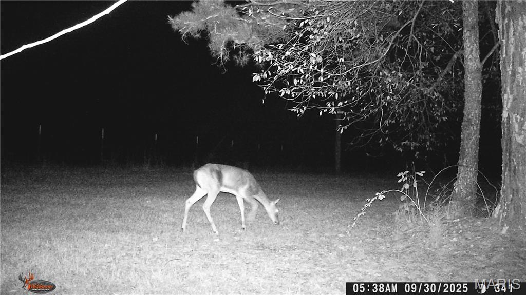 Photo 73 - Farm for sale – 205  County Road 6550   Salem, MO