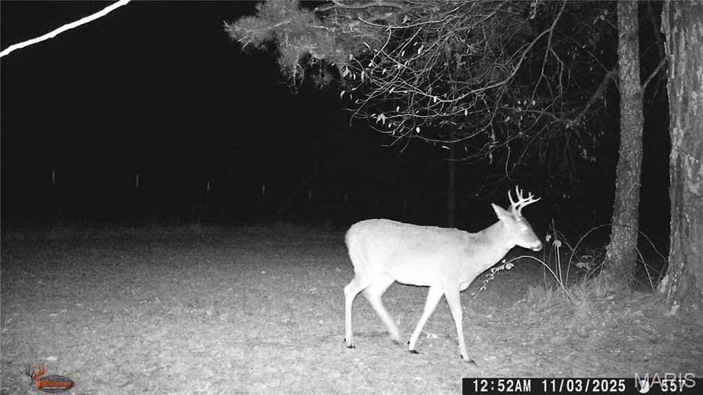 Photo 71 - Farm for sale – 205  County Road 6550   Salem, MO