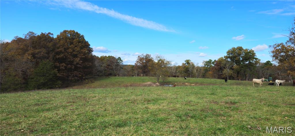 Photo 56 - Farm for sale – 205  County Road 6550   Salem, MO