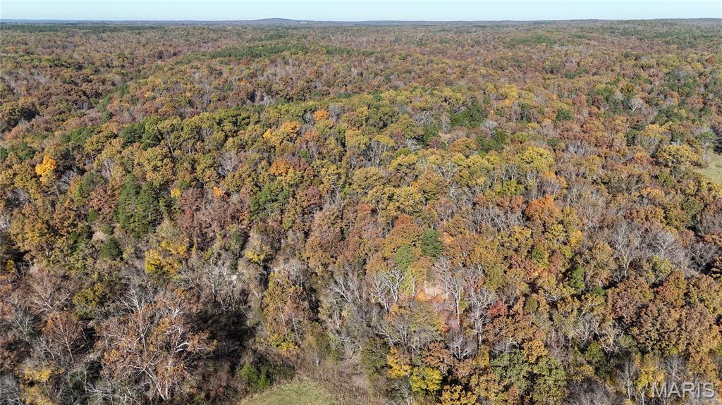 Photo 52 - Farm for sale – 205  County Road 6550   Salem, MO