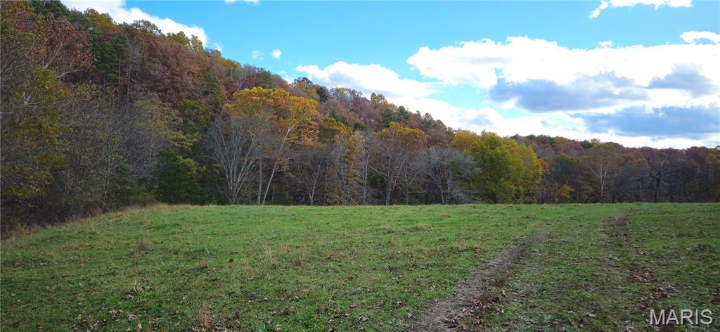 Photo 3 - Farm for sale – 205  County Road 6550   Salem, MO