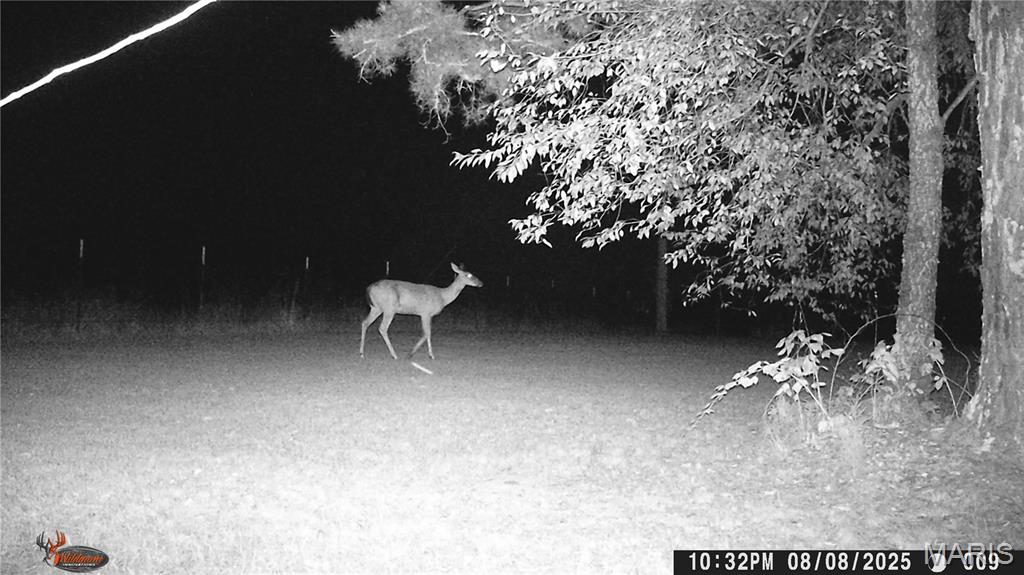 Photo 74 - Farm for sale – 205  County Road 6550   Salem, MO