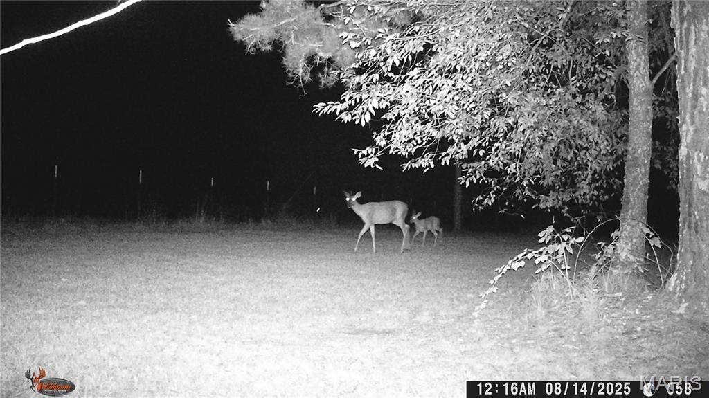 Photo 75 - Farm for sale – 205  County Road 6550   Salem, MO