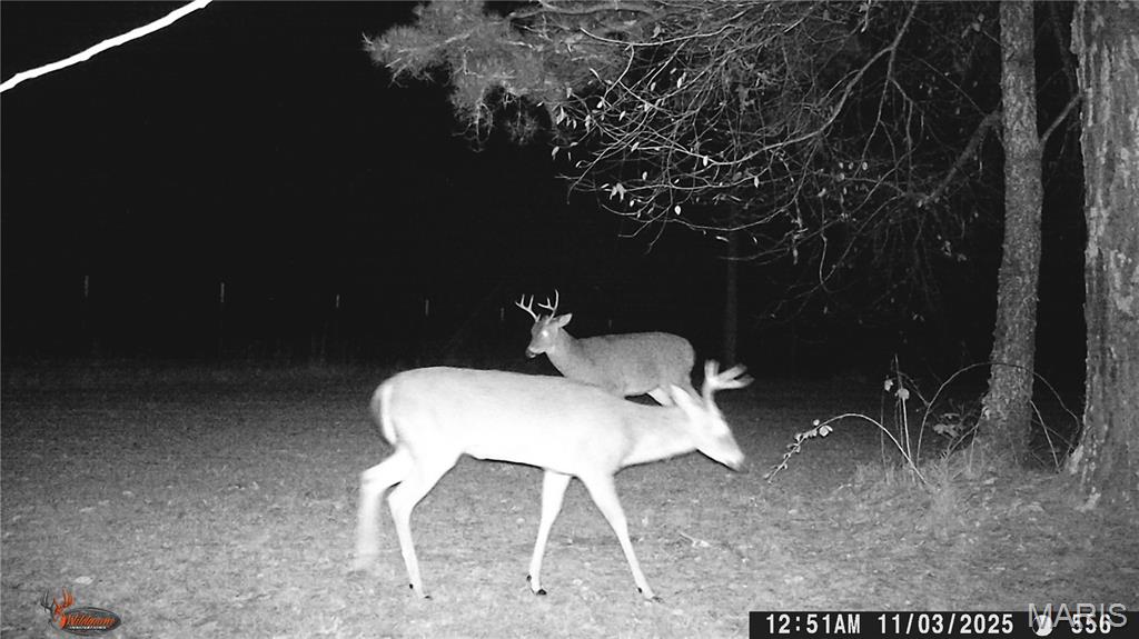 Photo 72 - Farm for sale – 205  County Road 6550   Salem, MO