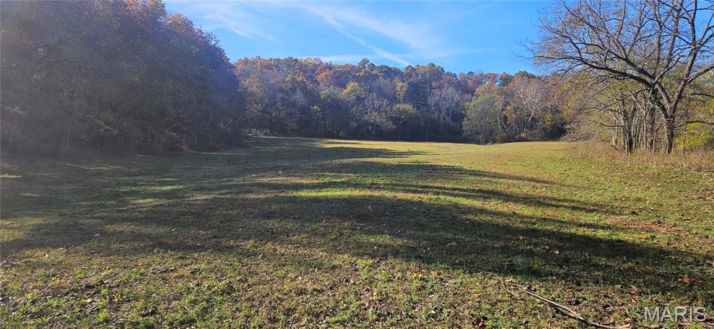 Photo 58 - Farm for sale – 205  County Road 6550   Salem, MO