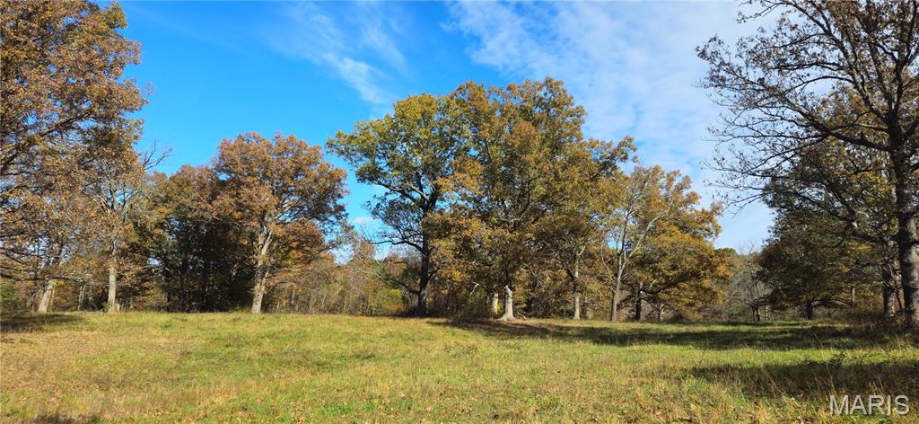 Photo 55 - Farm for sale – 205  County Road 6550   Salem, MO