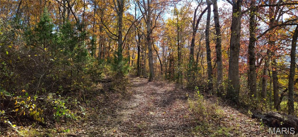 Photo 66 - Farm for sale – 205  County Road 6550   Salem, MO